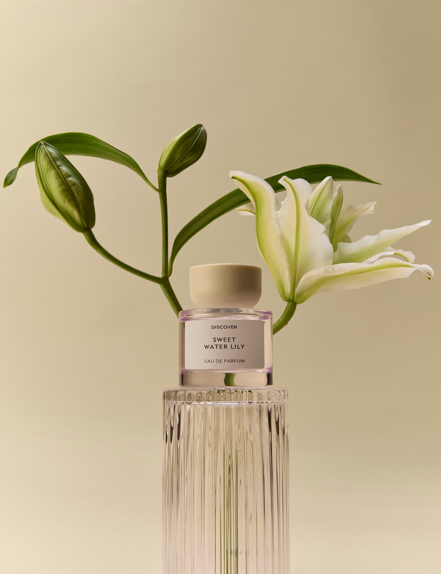 Sweet Water Lily Eau De Parfum 50ml, perfect gift for mother's day